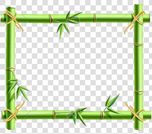 Transparent Bamboo Clip Art   Transparent Bamboo Frame Png  Png Download