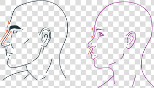 Nose Rhiniplastia In Facial Feminization Surgery   Sketch  HD Png Download