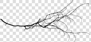 Tree Branch Png Transparent Background   Tree Branch Drawing Png  Png Download