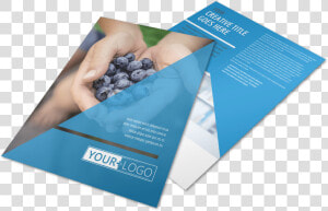 Health Nutrition Flyer Template Preview   Design Nutrition Flyer  HD Png Download