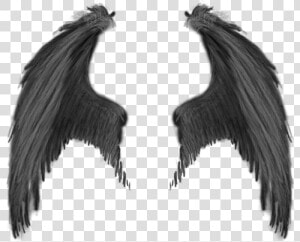 Wings Png   Devil Wings Png  Transparent Png