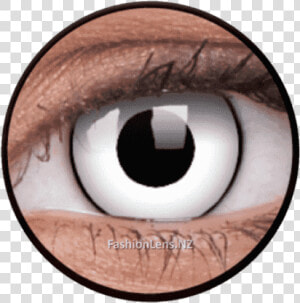 Contact Lenses Clipart   Png Download   Contact Lenses  Transparent Png