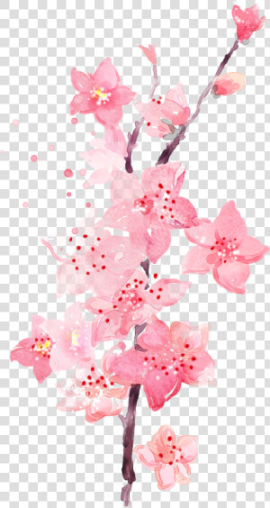 Watercolor Plum Blossom Transparent Decorative   Watercolor Pink Flower  HD Png Download