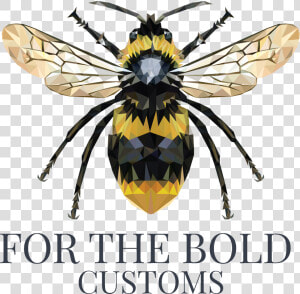 For The Bold Customs   Hornet  HD Png Download