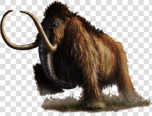 D amp d 5e Mammoth   Png Download   Mammoth Art Dnd  Transparent Png