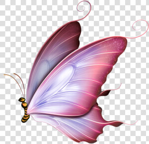 Transparent Pink Butterfly Png   Pink Butterfly Png  Png Download