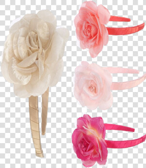 New Rose Flower Floral Headpiece With A Satin Wrapped   Garden Roses  HD Png Download