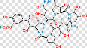 Amino Acid Molecule  HD Png Download