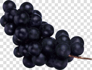 Grape Png Image   Темный Виноград Png  Transparent Png