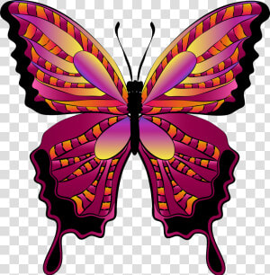 Red Butterfly Clipart Image   Transparent Background Png Format Butterfly Png  Png Download