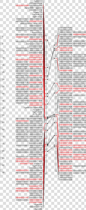 Slope  HD Png Download