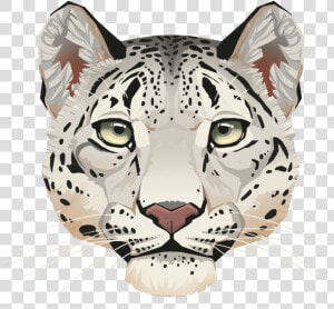 Clip Art Png Background Image Peoplepng   Snow Leopard Face Outline  Transparent Png