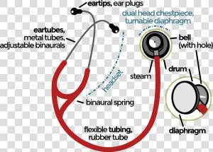 Stethoscope Parts And Functions Pdf  HD Png Download