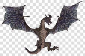 Skyrim Dragon Png   Dragon Skyrim Png  Transparent Png