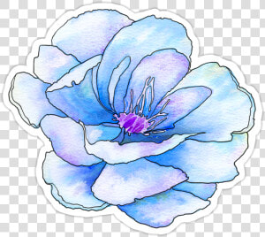  blue  flower  flowers  pastel  watercolor  watercolorflower   Pastel Blue Flower Png  Transparent Png