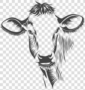 Detailed Cow Line Art Clip Arts   Cow Face Line Art  HD Png Download