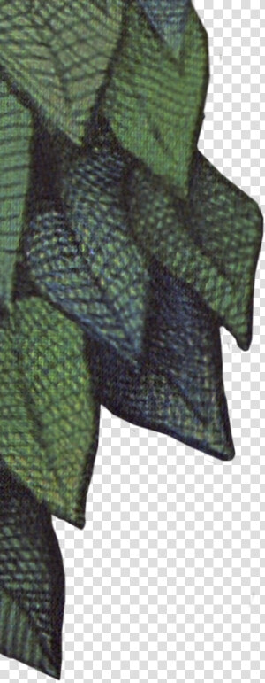 Wild Things Are Leaves   Wild Things Are Png  Transparent Png