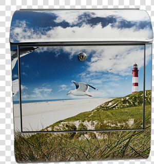 Transparent Sea Gull Png   Briefkasten Mit Motiv  Png Download