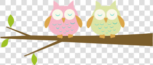 Cute Owl On Branch Png   Baby Owl Clipart  Transparent Png