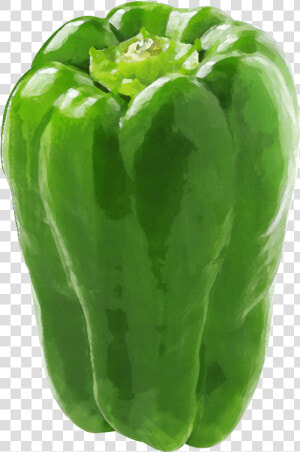 Green Bell Pepper   Png Download   Green Bell Pepper  Transparent Png