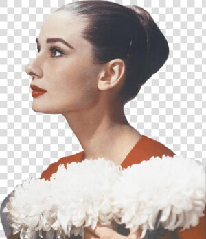  audrey  hepburn  audreyhepburn  actress  flowers  movie   オードリー ヘップバーン 横顔  HD Png Download