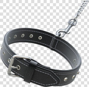 Dog Collar Png   Dog Collar 3d Model  Transparent Png