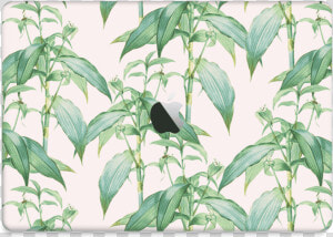 Foliage Love Skin Macbook Air 2018    Bird  HD Png Download