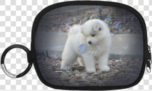 Samoyed Bubbles Coin Purse   Handbag  HD Png Download