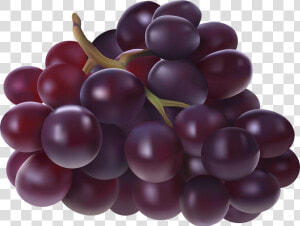 Juice Grape Fruit Clip Art   Grapes Fruit Clip Arts  HD Png Download