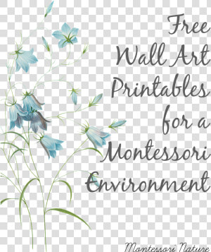 Montessori Classroom Wall Art  HD Png Download