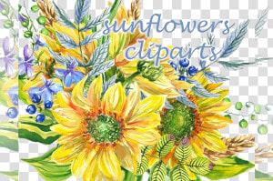 Sunflower Clipart Watercolor Floral Example Image Transparent   Sunflower  HD Png Download