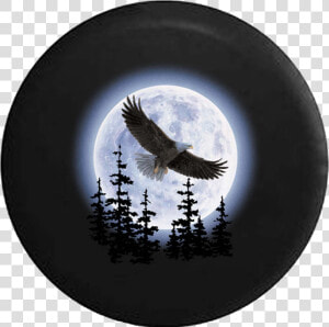 Soaring Eagle Spare Tire Cover   Painting Of Eagles  HD Png Download