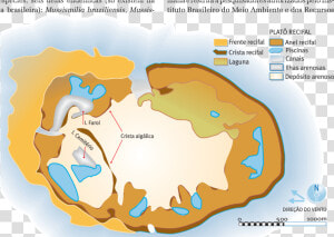 Esquema Do Atol Das Rocas  Mostrando A Localização   Map  HD Png Download