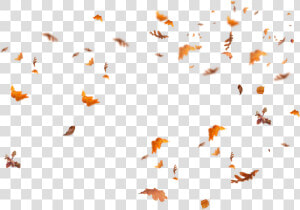 Falling Leaves Png   Transparent Fall Leaves Overlay  Png Download