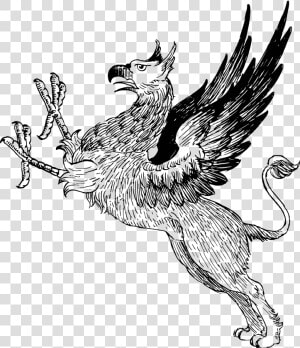 Vintage Griffin Line Art   Mythical Creature Clip Art  HD Png Download