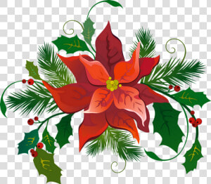 ❄️ Tube Noël  Poinsettia Png   Poinsettia De Noël Clipart  Transparent Png