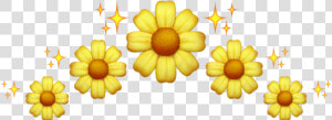  crown  flower  yellow  corona  flor  amarillo  margarita   Emoji De Margarita Flor Png  Transparent Png