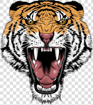 Tiger Lion Roar Big Cat Head  HD Png Download