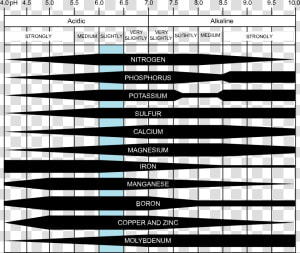 Effect Of Ph On Nutrient Availability In Soil  HD Png Download