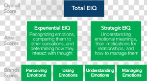 Mayer Salovey And Caruso Emotional Intelligence  HD Png Download