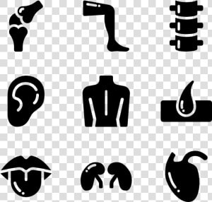 Clip Art Human Icons Free Vector   Body Symbols Png  Transparent Png