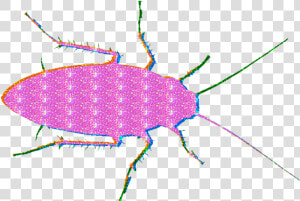  roach  glitter  mine  lol  glitterroach  edgy  glitteredit   Ground Beetle  HD Png Download