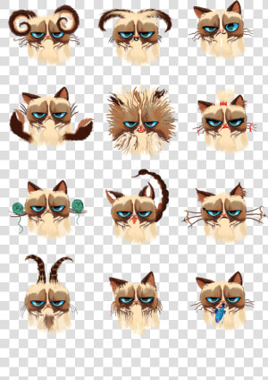 Transparent Grumpy Cat Png   Cats As Zodiac Signs  Png Download