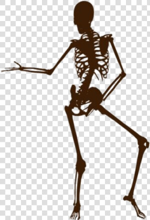 Funny Skeleton Png Image Clipart   Funny Skeleton Png  Transparent Png