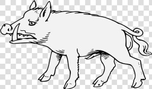 Boar Png  Transparent Png