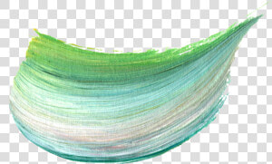 Brush  Stroke  Green  White  Paint   Paint Brush Stroke  png  Transparent Png