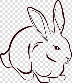 Drawing Bunnies Little Bunny Transparent Png Clipart   Art Drawing Of Rabbit  Png Download