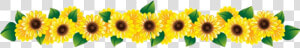 Flower Clipart Row Ftestickers   Row Of Flowers Png  Transparent Png