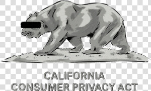 What Is The California Consumer Privacy Act And What   California Ccpa  HD Png Download