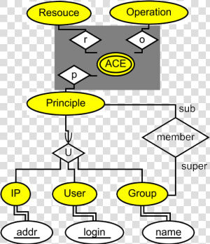 Acl Er Diagram  HD Png Download